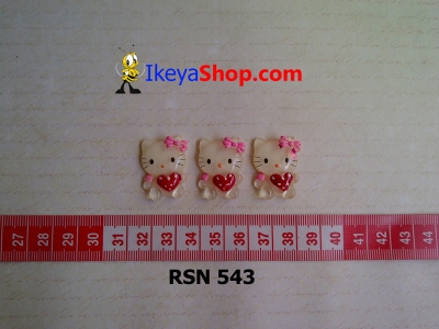 rsn 543  large2